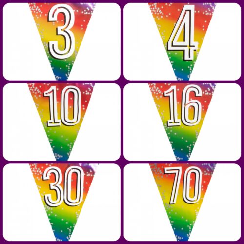 Leeftijd Vlaggenlijnen Folie Regenboog